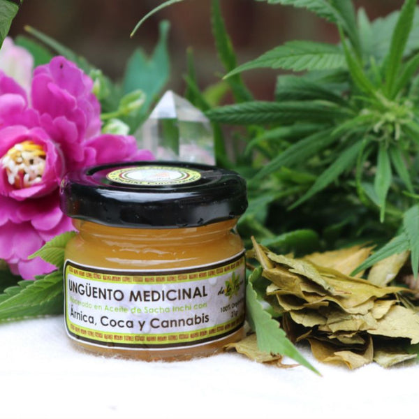 Ungüento Medicinal - 21gr